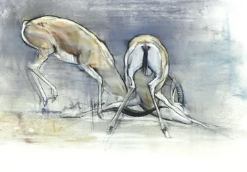 Sandgazellen, 2009