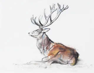 Sitzender Hirsch, 2006