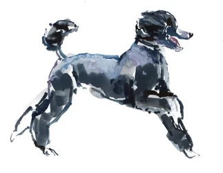 Sheer Class, 2013 (Aquarell und Gouache auf Papier)