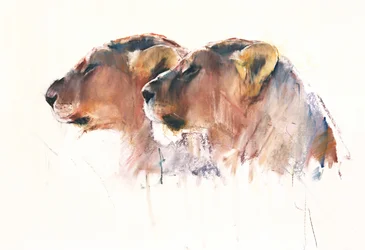 Schwestern, Etosha
