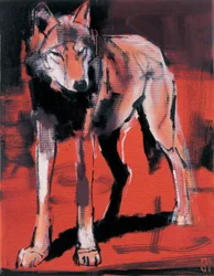 Sommerwolf, 2001