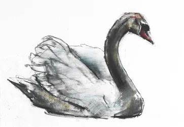 Schwan
