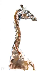 Groß, 2018