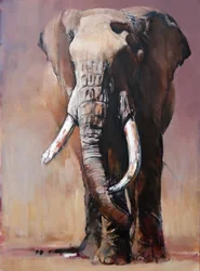 Tofauti, Chyulu Hills, 2018