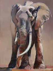 Ehrwürdige alte Matriarchin, 2018