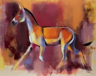 Wilder Esel, Rann von Kutch, 1996