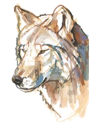 Wolf, 2018