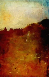 Sonnengeküsster Vogelscheuche in Calke