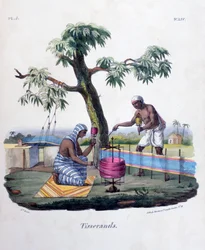 Weber, 1828