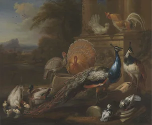 Pfauen, Tauben, Truthühner, Hühner und Enten bei einer klassischen Ruine