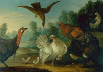 Geflügel in einer Landschaft