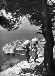 Dubrovnik, Kroatien