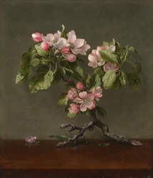 Apfelblüten, 1873