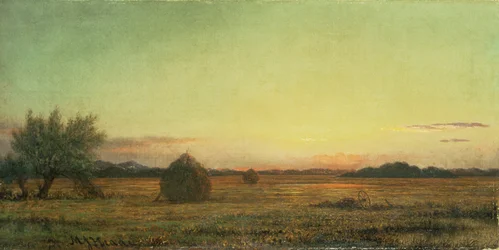 Jersey-Wiesen