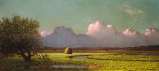 Sonnenlicht und Schatten: Die Newbury-Marschen