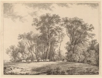 Eine Wiese mit Vieh am Waldrand