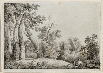 Landschaft