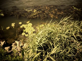 Am Fluss