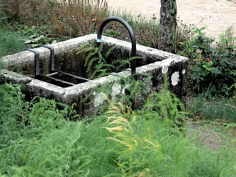 Im Garten