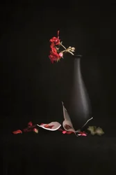 Zerbrochene Vase mit roten Blumen