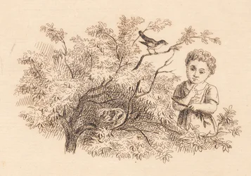 Illustration zu "Halvhundrede Fabler for Børn" von Hey