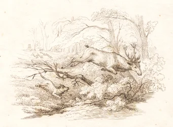 Illustration zu "Halvhundrede Fabler for Børn" von Hey