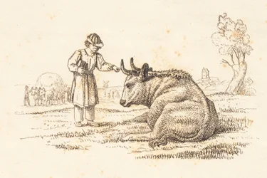 Illustration zu "Halvhundrede Fabler for Børn" von Hey