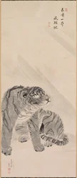 Tiger im Wind und Regen