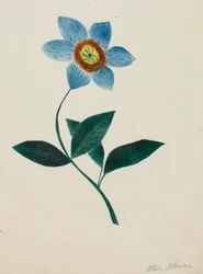 Sternblume