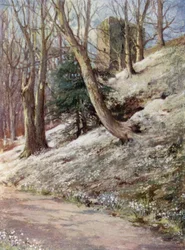 Schottische Gärten: Ardgowan