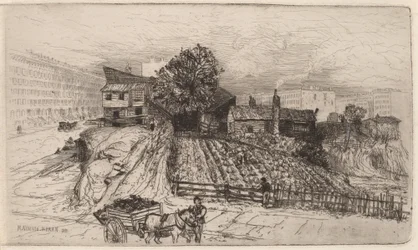 Eine Stadtfarm—New York