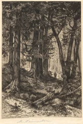 Ohne Titel (Waldszene)