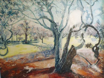 Frühling im Darley Park