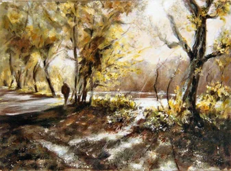 Spaziergang am Rudyard-See