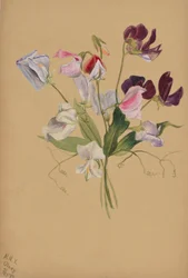 Ohne Titel--Blumenstudie