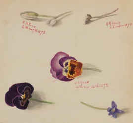 (Ohne Titel--Blumenstudie)