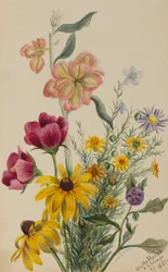 Blumengruppe, 1881