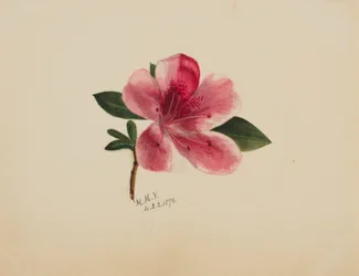 Ohne Titel--Blumenstudie, 1876
