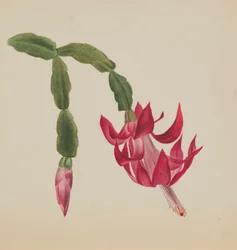 Unbetitelt - Blumenstudie, 1878