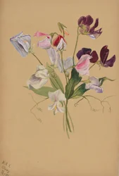 Ohne Titel – Blumenstudie
