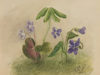 Ohne Titel, 1874