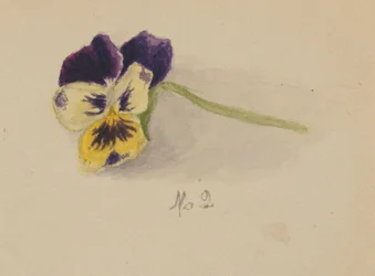 Ohne Titel Stiefmütterchen, 1872