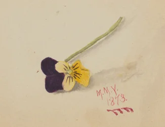 Ohne Titel Stiefmütterchen, 1873