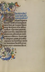 Bewohnte Initiale S