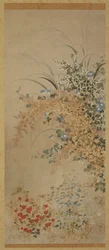 Blumen und Gräser