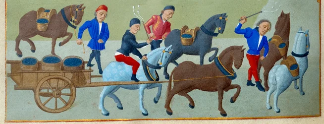 Die Weinlese und der Transport