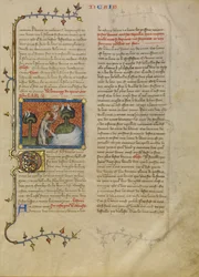 Die Erschaffung von Vögeln und Fischen