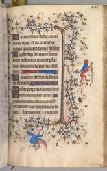 Stunden von Karl dem Edlen, König von Navarra (1361-1425): fol. 216r, Text