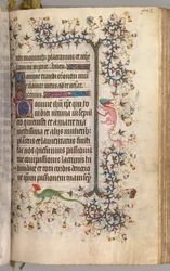 Stundenbuch von Charles dem Edlen, König von Navarra 1361-1425: fol. 2041r, Text, um 1405