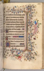 Stundenbuch von Charles dem Edlen, König von Navarra: fol. 237r, Text